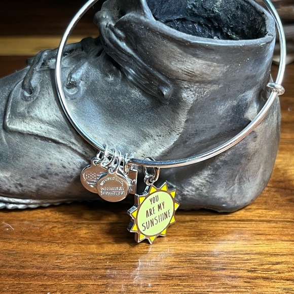 Alex and Ani Silver 'You Are My Sunshine' Bracelet - Picture 1 of 3